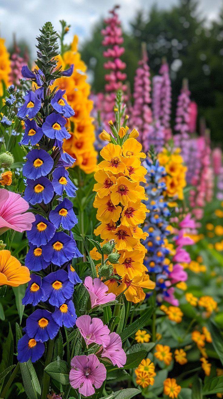 Morning Dew Freshness Bouquet