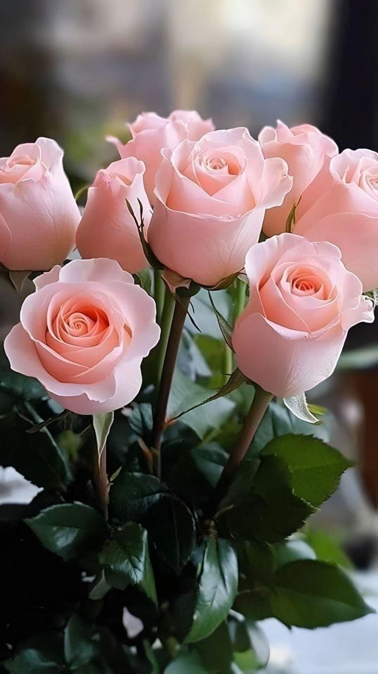Sunset Serenade Blossom Collection